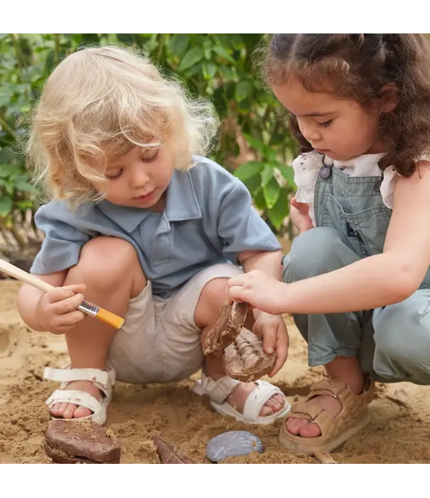 Guidecraft Guidecraft - Magnetische Match Fossielen  (12-delig)