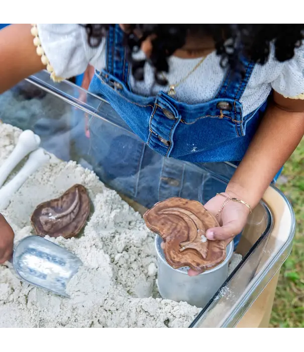 Guidecraft Guidecraft - Magnetische Match Fossielen  (12-delig)