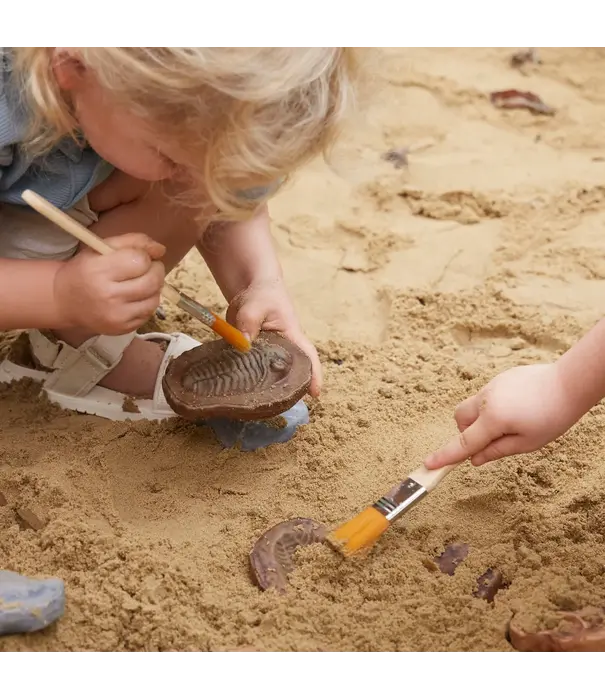 Guidecraft Guidecraft - Magnetische Match Fossielen  (12-delig)