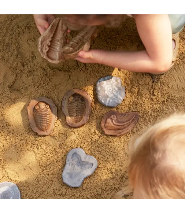 Guidecraft Guidecraft - Magnetische Match Fossielen  (12-delig)