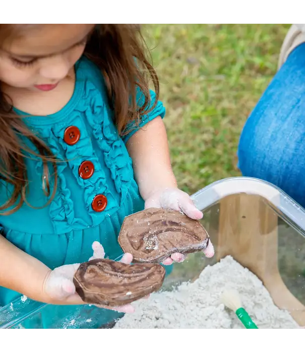 Guidecraft Guidecraft - Magnetische Match Fossielen  (12-delig)