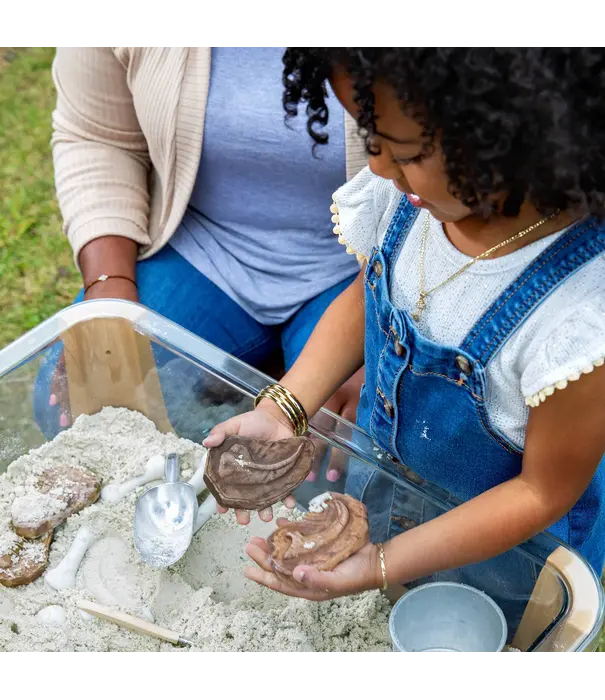 Guidecraft Guidecraft - Magnetische Match Fossielen  (12-delig)