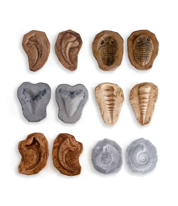 Guidecraft Guidecraft - Magnetische Match Fossielen  (12-delig)