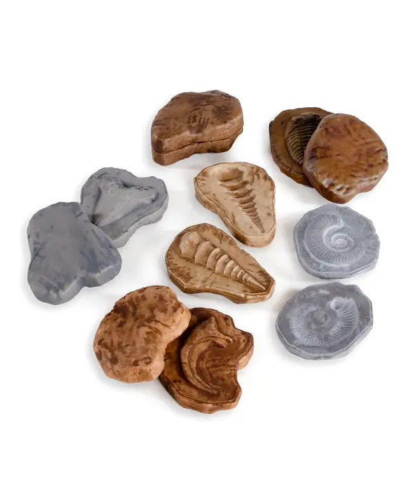 Guidecraft Guidecraft - Magnetische Match Fossielen  (12-delig)