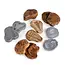 Guidecraft - Magnetische Match Fossielen  (12-delig)