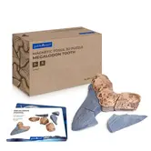 Guidecraft - Magnetische 3D Puzzel Ammoniet (6-delig)