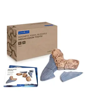 Magnetische 3D Puzzel Ammoniet (6-delig)