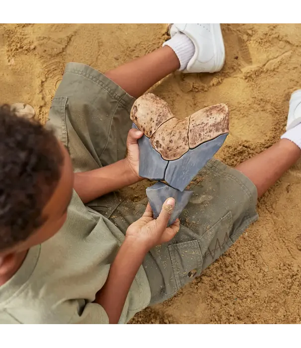 Guidecraft Guidecraft - Magnetische 3D Puzzel Ammoniet (6-delig)