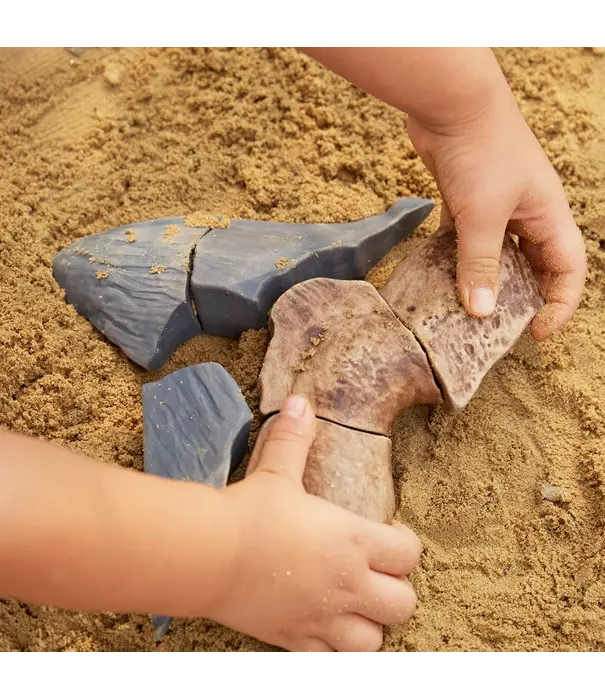 Guidecraft Guidecraft - Magnetische 3D Puzzel Ammoniet (6-delig)