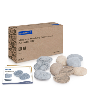 Magnetische Match Fossielen Oceaan (16-delig)