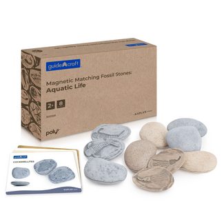 Guidecraft Magnetische Match Fossielen Oceaan (16-delig)