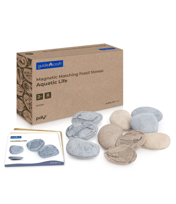 Guidecraft Guidecraft - Magnetische Match Fossielen Oceaan (16-delig)