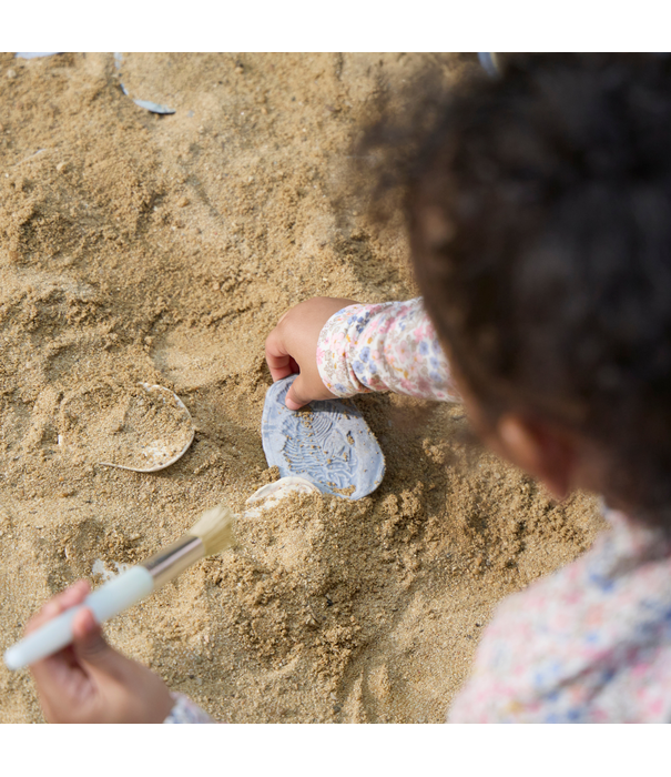 Guidecraft Guidecraft - Magnetische Match Fossielen Oceaan (16-delig)