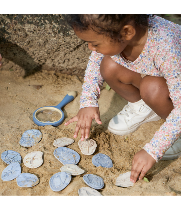 Guidecraft Guidecraft - Magnetische Match Fossielen Oceaan (16-delig)