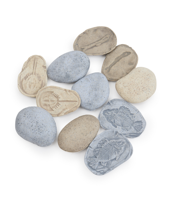 Guidecraft Guidecraft - Magnetische Match Fossielen Oceaan (16-delig)