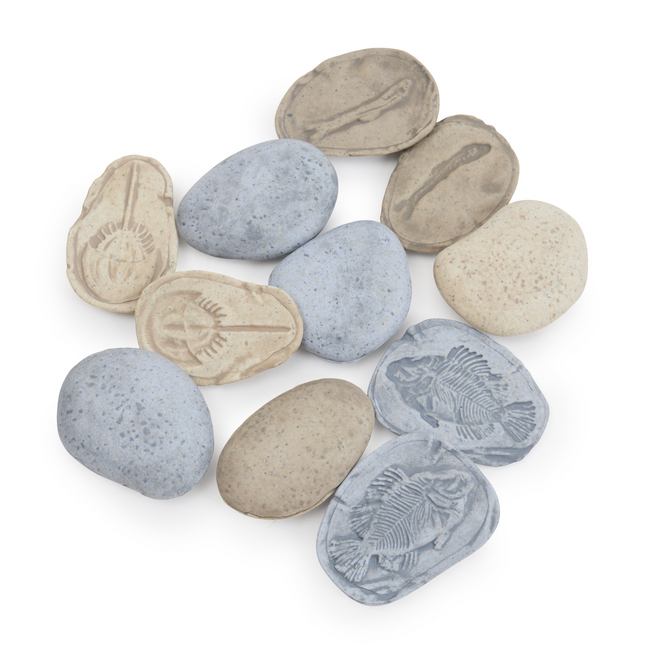 Guidecraft - Magnetische Match Fossielen Oceaan (16-delig)