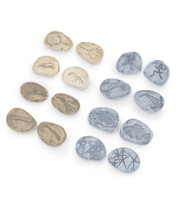 Guidecraft Guidecraft - Magnetische Match Fossielen Oceaan (16-delig)