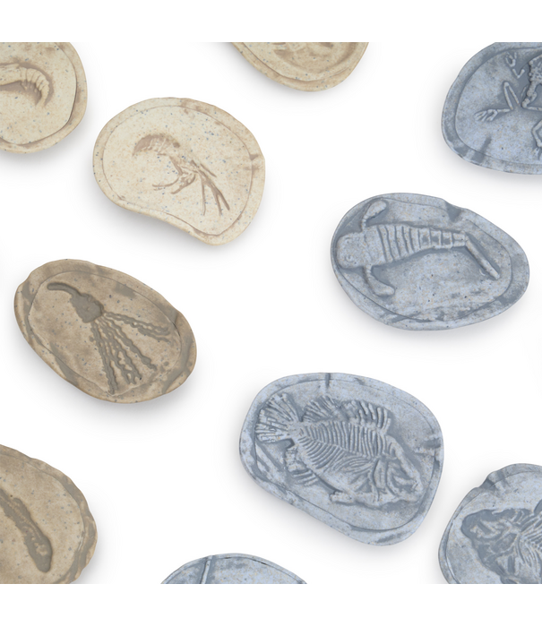 Guidecraft Guidecraft - Magnetische Match Fossielen Oceaan (16-delig)