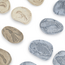 Guidecraft - Magnetische Match Fossielen Oceaan (16-delig)