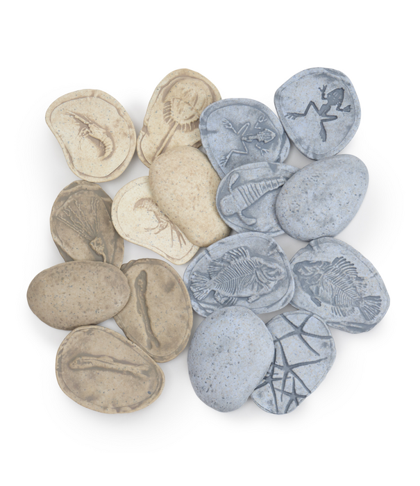 Guidecraft Guidecraft - Magnetische Match Fossielen Oceaan (16-delig)