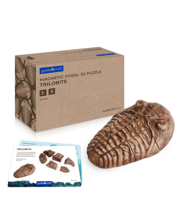 Guidecraft Guidecraft - Magnetische 3D Puzzel Trilobiet (6-delig)