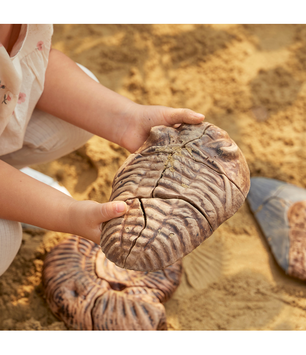 Guidecraft Guidecraft - Magnetische 3D Puzzel Trilobiet (6-delig)