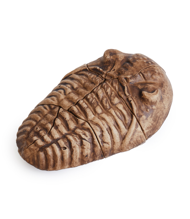 Guidecraft Guidecraft - Magnetische 3D Puzzel Trilobiet (6-delig)