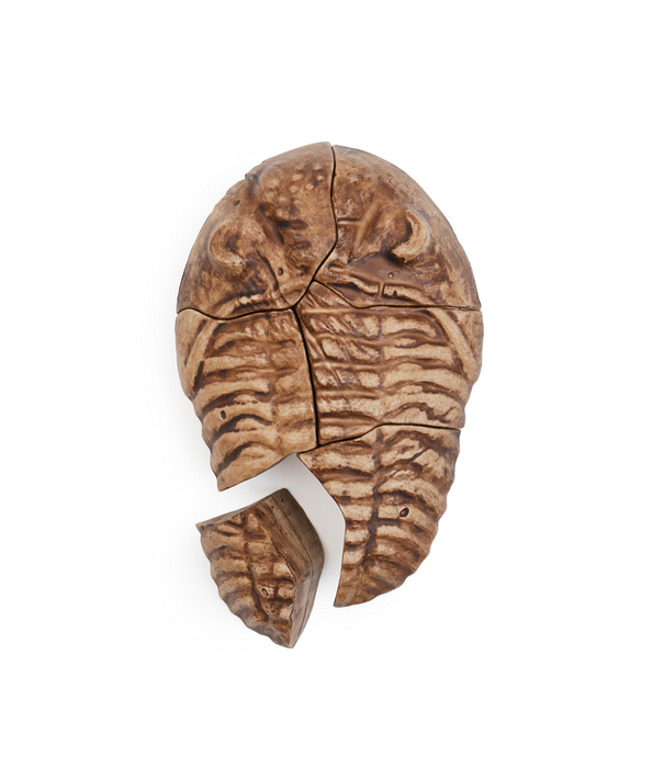 Guidecraft Guidecraft - Magnetische 3D Puzzel Trilobiet (6-delig)