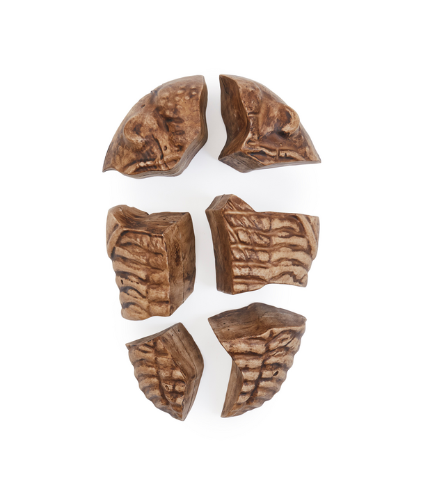 Guidecraft Guidecraft - Magnetische 3D Puzzel Trilobiet (6-delig)