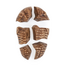 Guidecraft - Magnetische 3D Puzzel Trilobiet (6-delig)