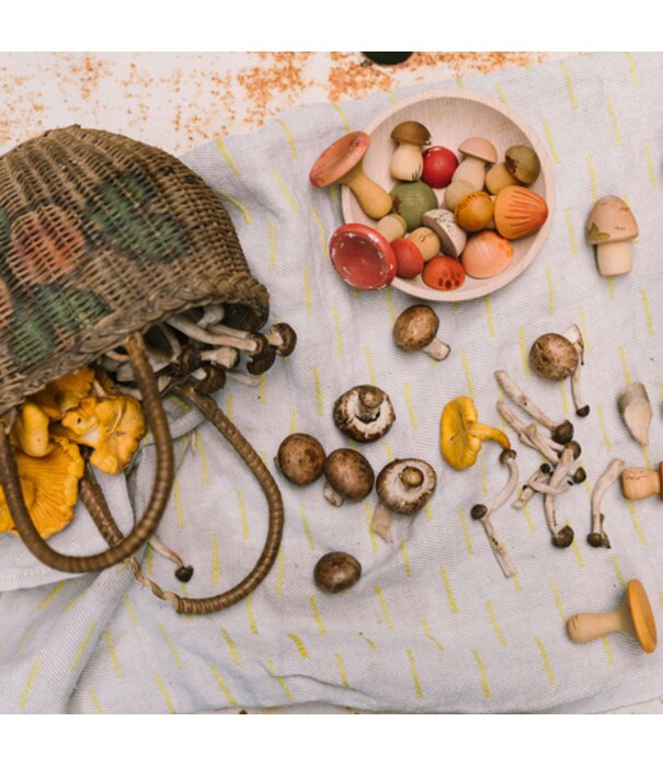 Grapat Grapat - Paddenstoelenbos (18-delig)