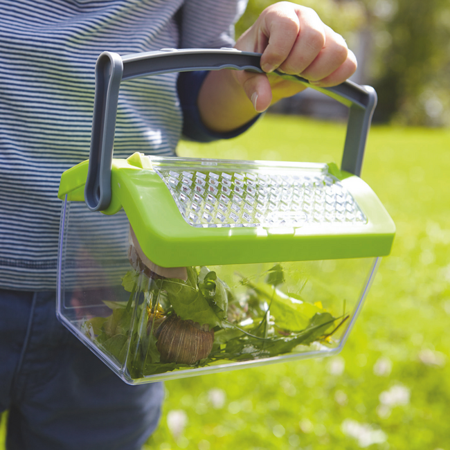 HABA - Terra Kids Insectendoos