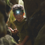 HABA - Terra Kids Hoofdlamp