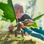 HABA - Terra Kids Connectors Constructieset (87-delig)