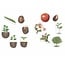 Learning Resources - Magnetische Plant Levenscyclus Set (12-delig)