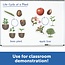 Learning Resources - Magnetische Plant Levenscyclus Set (12-delig)