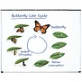 Learning Resources - Magnetische Vlinder Levenscyclus Set (9-delig)