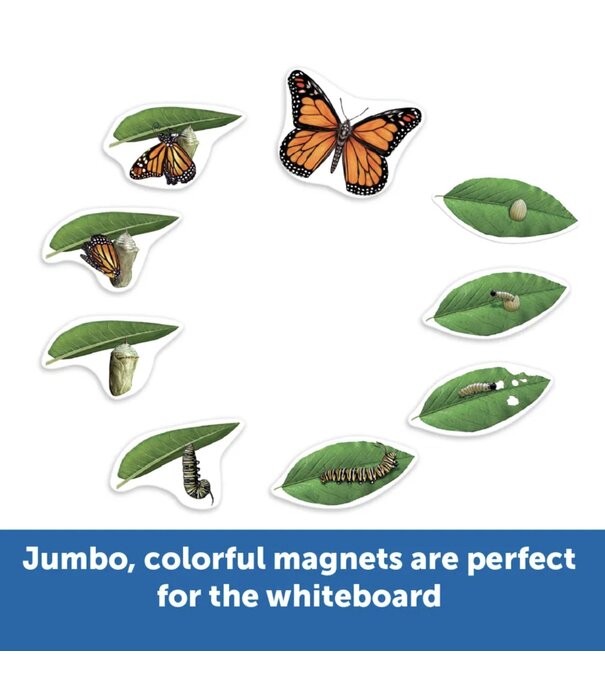 Learning Resources Learning Resources - Magnetische Vlinder Levenscyclus Set (9-delig)