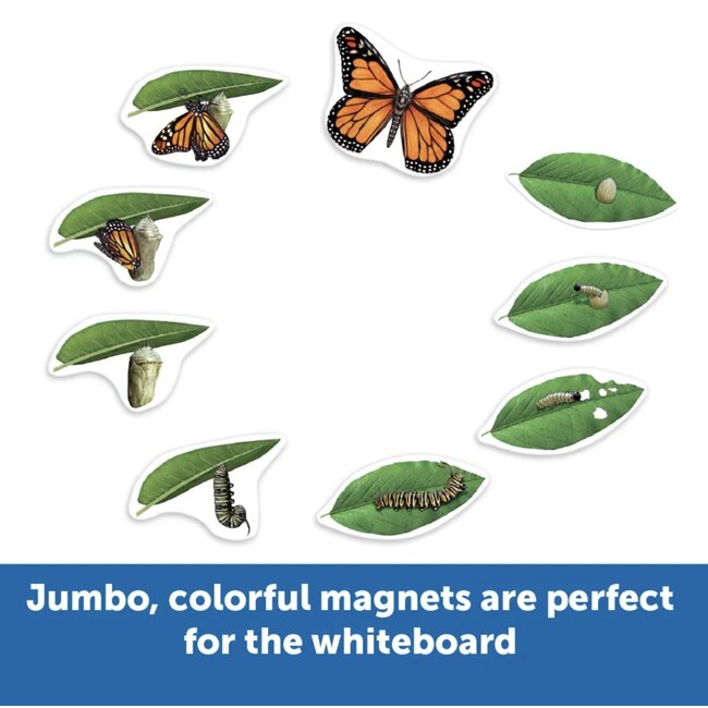 Learning Resources - Magnetische Vlinder Levenscyclus Set (9-delig)