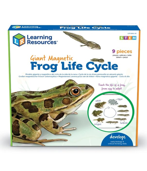 Learning Resources Learning Resources - Magnetische Kikker Levenscyclus Set (9-delig)