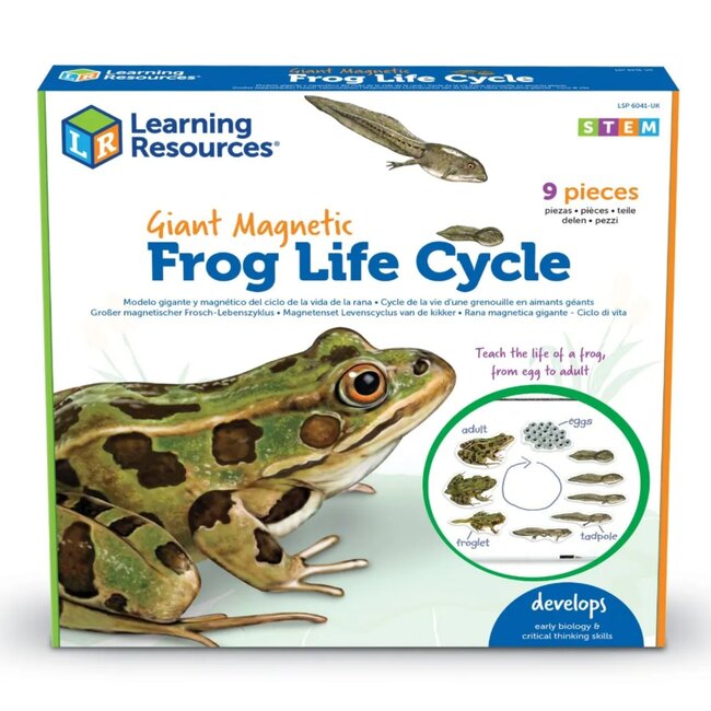 Learning Resources - Magnetische Kikker Levenscyclus Set (9-delig)