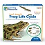 Learning Resources - Magnetische Kikker Levenscyclus Set (9-delig)