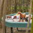 Learning Resources - Jumbo Boerderij Dieren Mama's & Baby's (8-delig)