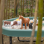 Learning Resources - Jumbo Dino's Set 2 (5-delig)