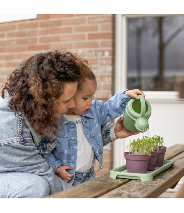 Dantoy Dantoy - Green Garden - Groente Planten Set (54-delig)