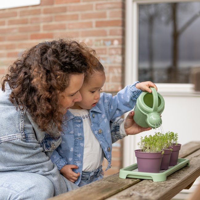 Dantoy - Green Garden - Groente Planten Set (54-delig)