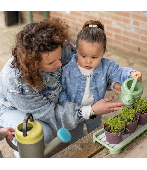 Dantoy Dantoy - Green Garden - Groente Planten Set (54-delig)