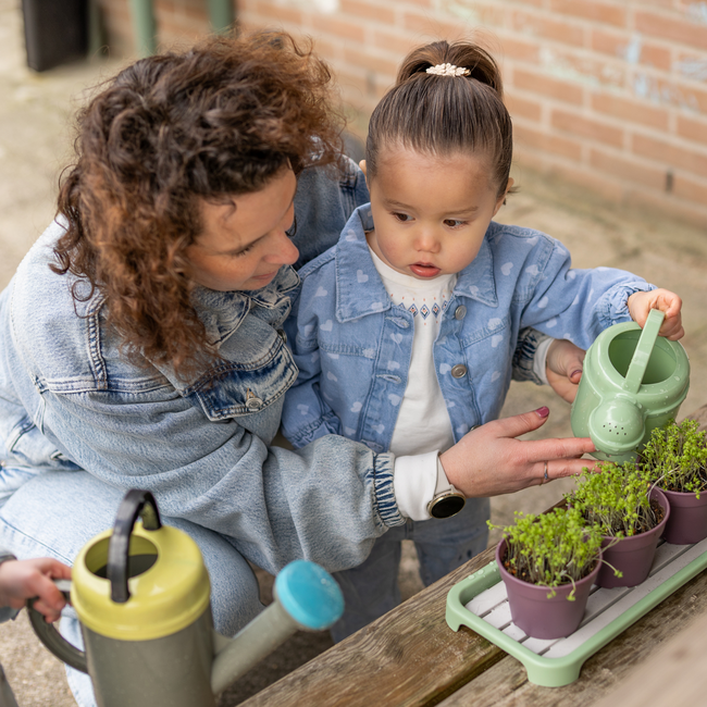 Dantoy - Green Garden - Groente Planten Set (54-delig)
