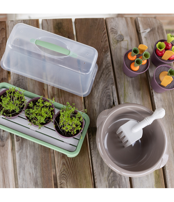 Dantoy Dantoy - Green Garden - Groente Planten Set (54-delig)