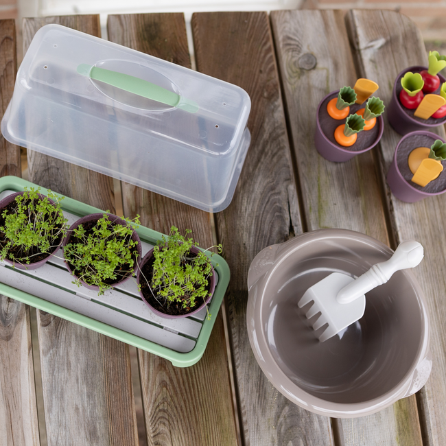 Dantoy - Green Garden - Groente Planten Set (54-delig)